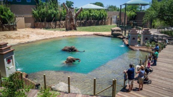 ヒューストン*Hidden Gem* Cozy 1 Bd Nrg/Tmc/Dt/Zoo/Museumsアパートメント エクステリア 写真
